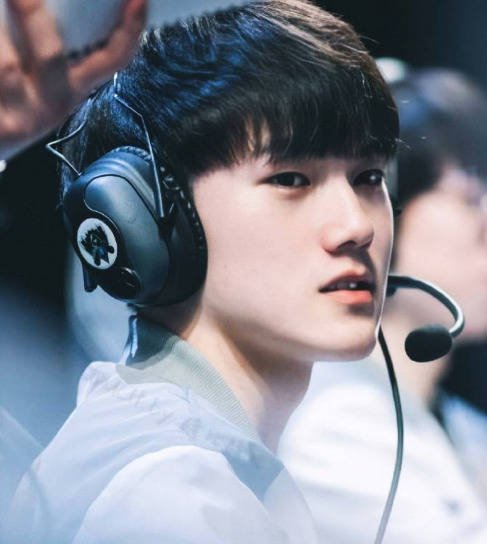 报名及相关 报名及相关